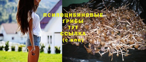 стафф Алексин