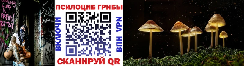 Галлюциногенные грибы MAGIC MUSHROOMS  Лебедянь 